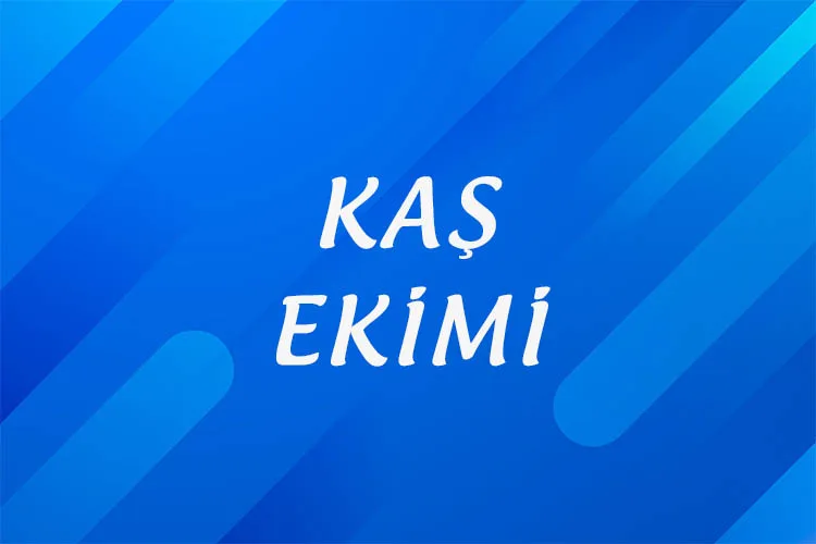 kaş-ekimi-izmir-kaş-ekimi